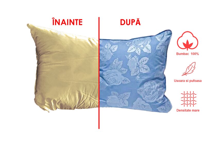 Aladdin - Spalatorie covoare